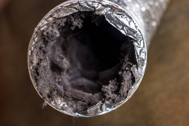 Best Affordable Air Duct Cleaning  in Coleraine, MN