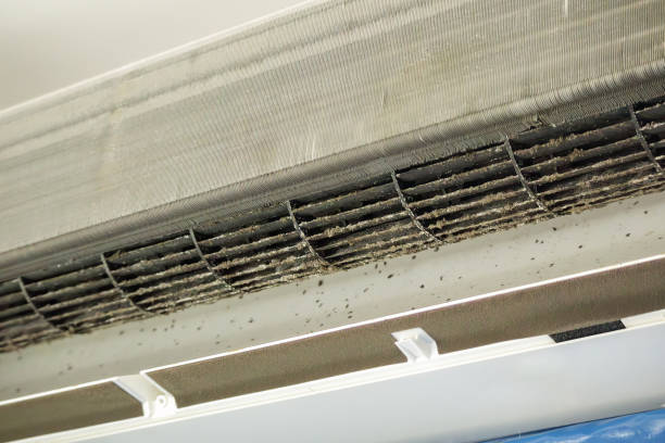 Best Professional Duct Cleaning Services  in Coleraine, MN